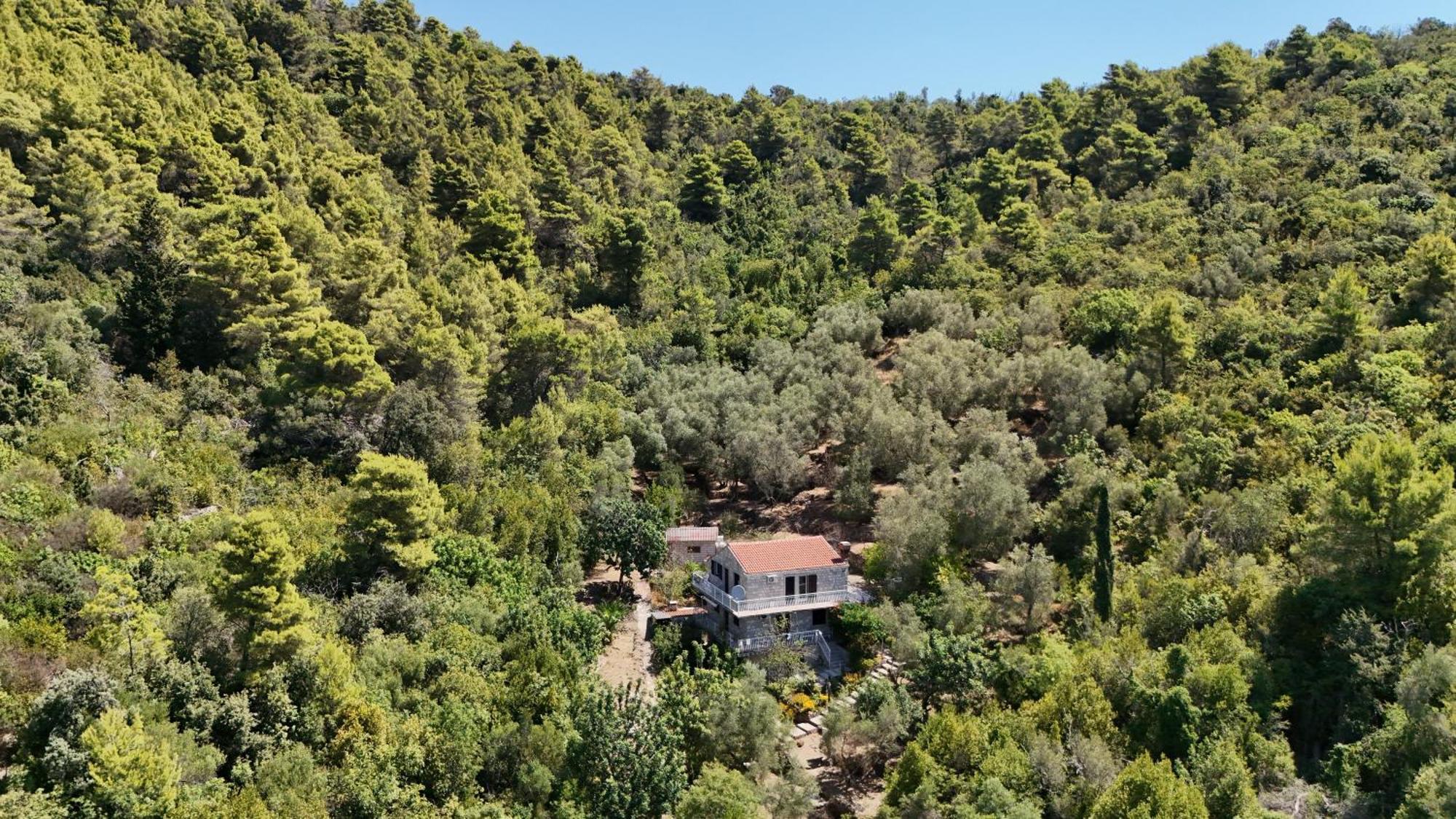 Apartment Kod Jadranke Šipanska Luka Buitenkant foto